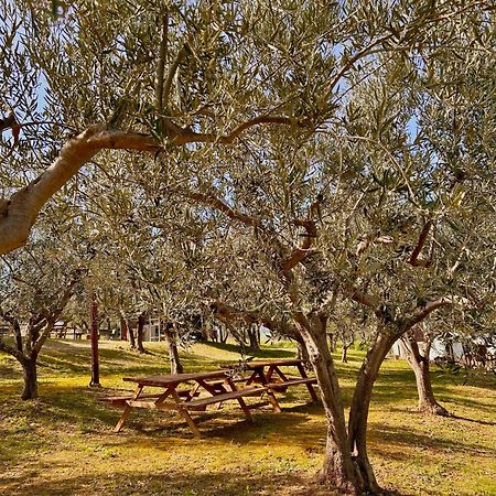 Oasi Macerina Vila Alanno Exterior foto