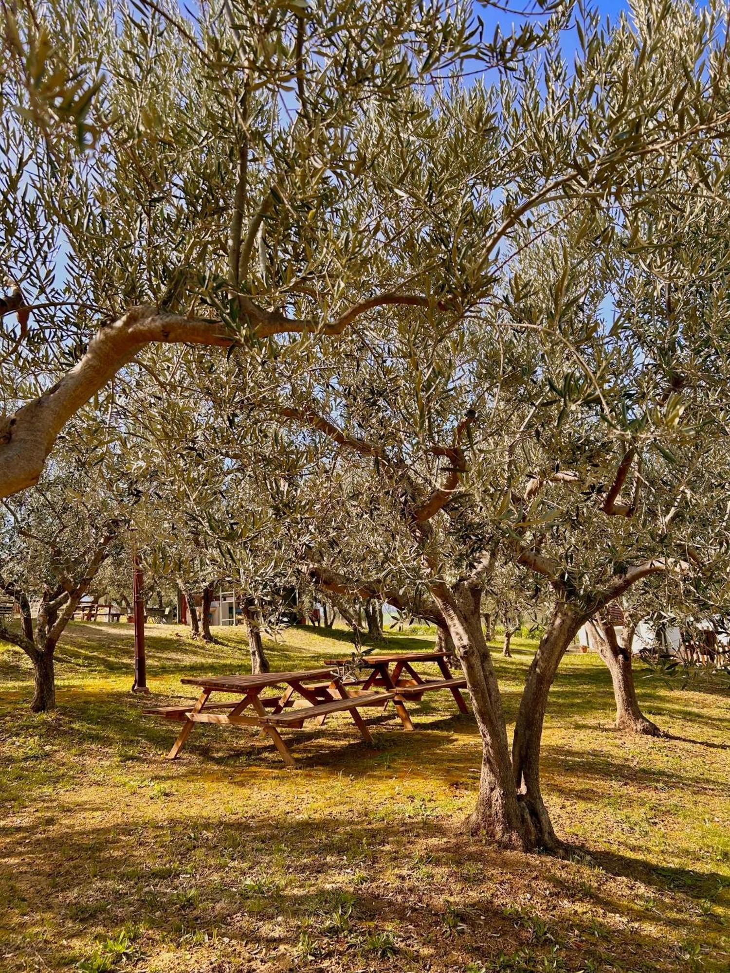 Oasi Macerina Vila Alanno Exterior foto