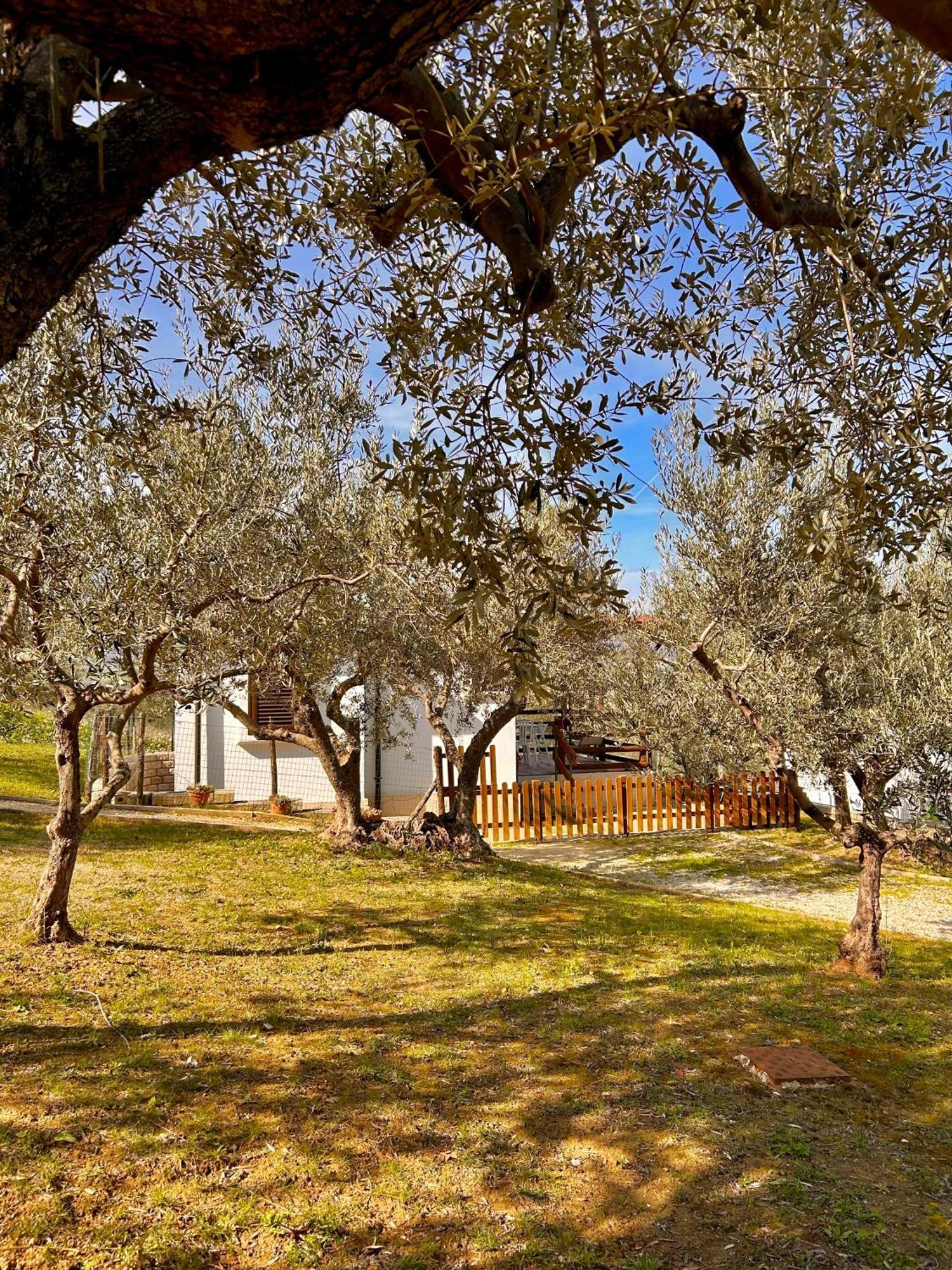 Oasi Macerina Vila Alanno Exterior foto
