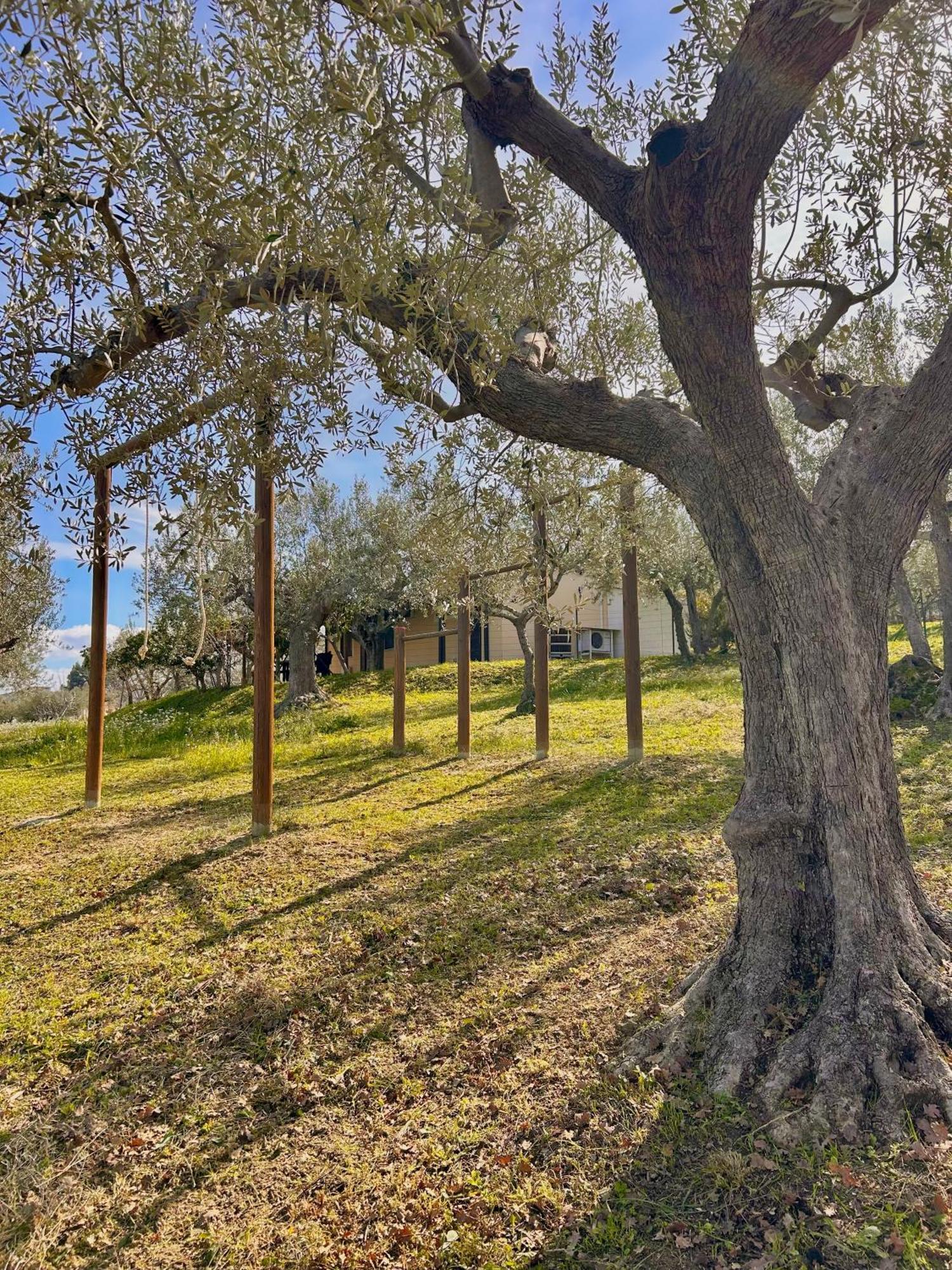 Oasi Macerina Vila Alanno Exterior foto