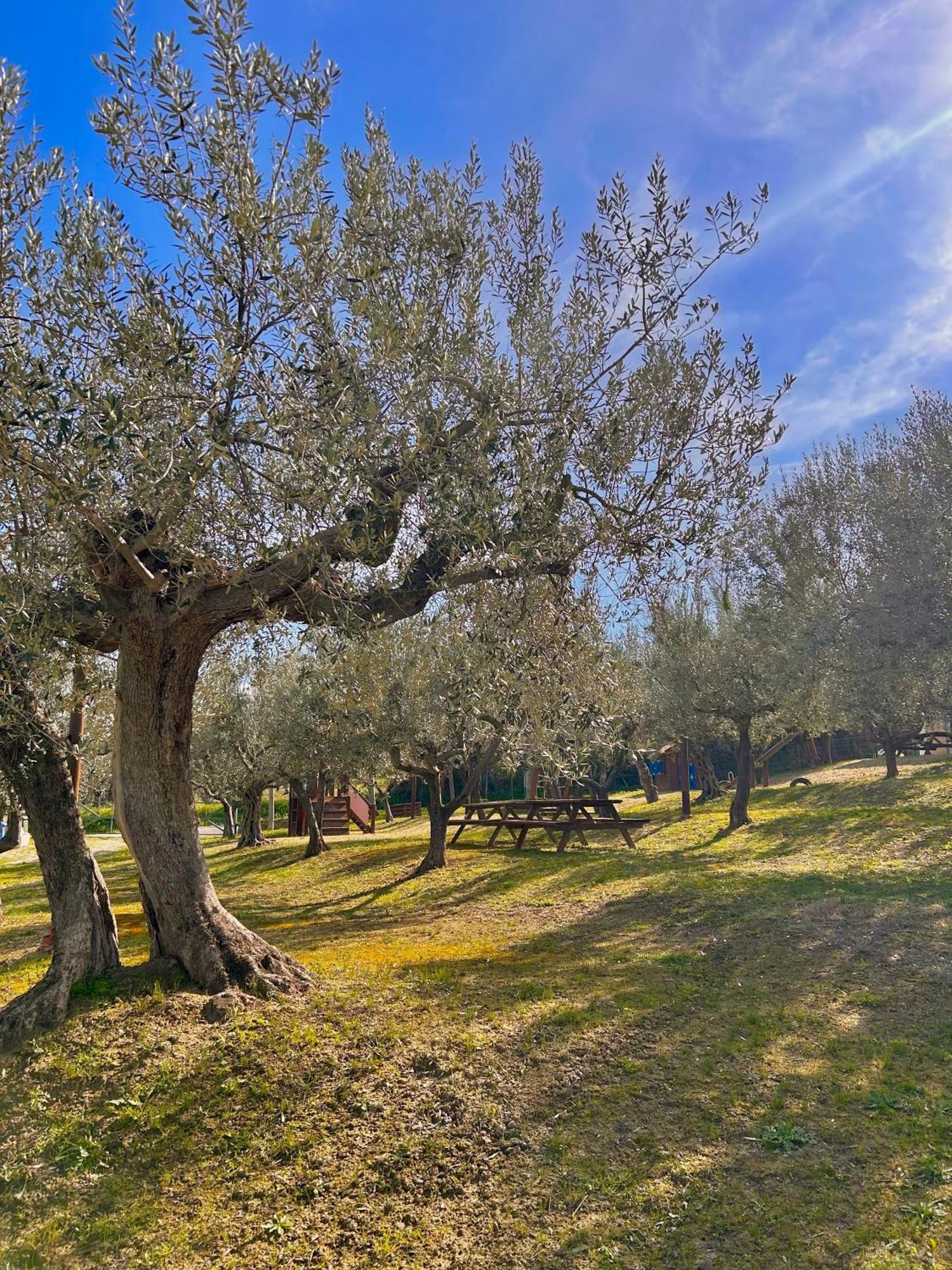 Oasi Macerina Vila Alanno Exterior foto