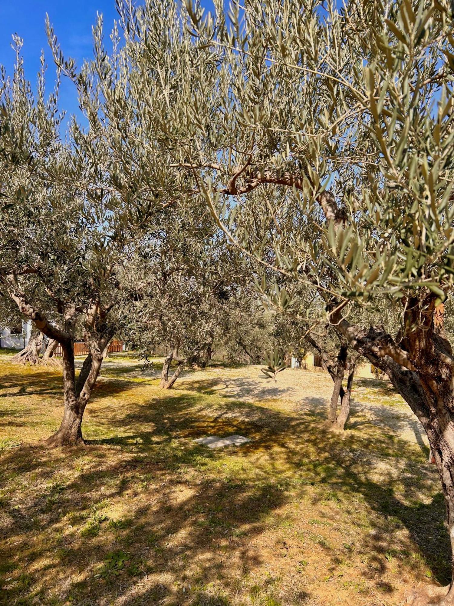 Oasi Macerina Vila Alanno Exterior foto
