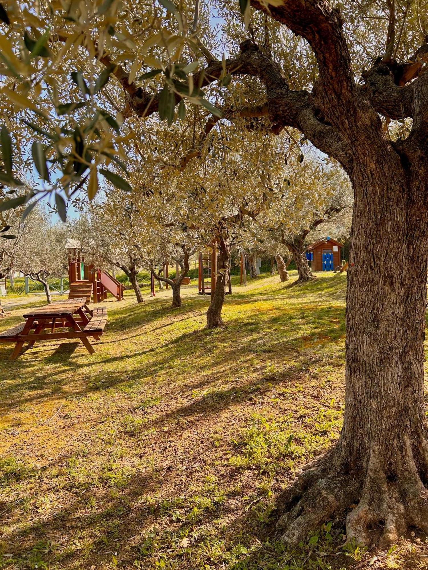 Oasi Macerina Vila Alanno Exterior foto